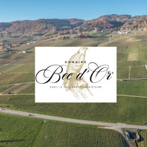 1e conférence 2025 – Marketing et vin : un bon cru?